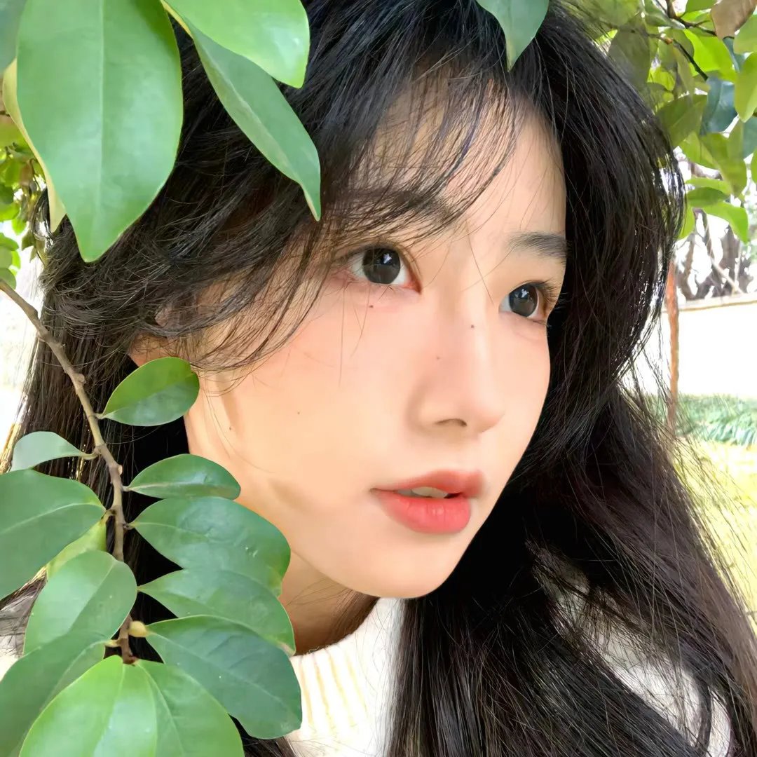 国王与我